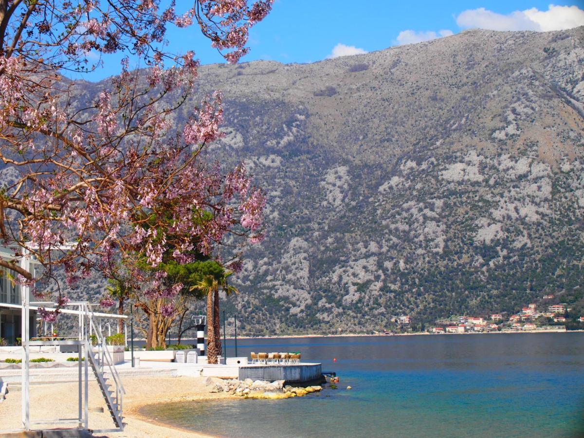 Holiday House In The Kotor Bay Dış mekan fotoğraf