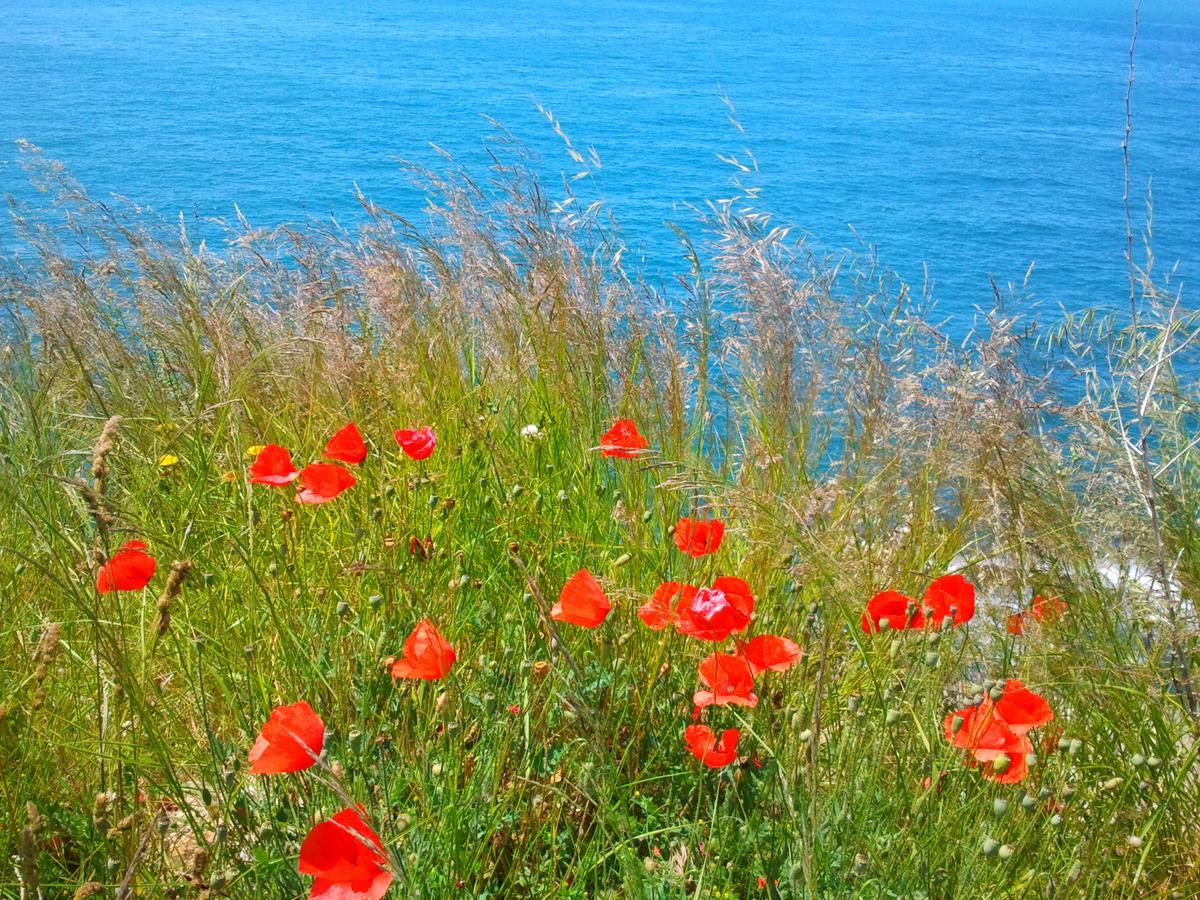 Holiday House In The Kotor Bay Dış mekan fotoğraf